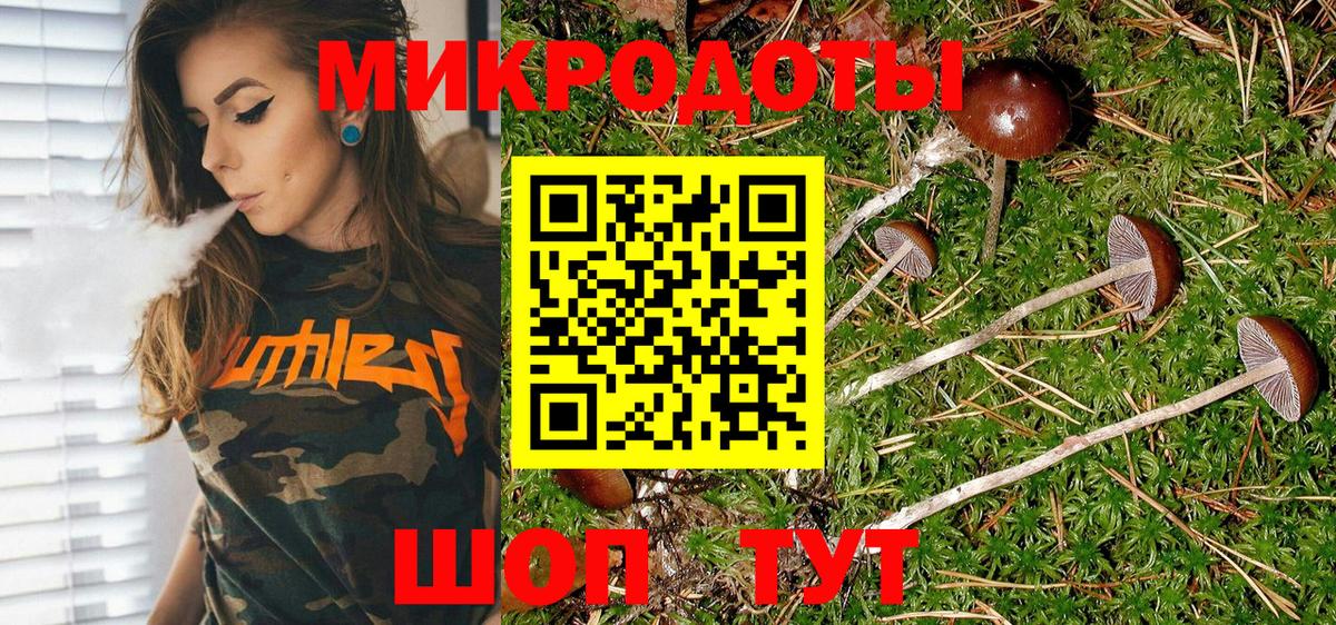 Кохма  Галлюциногенные грибы Psilocybe  Вход с VPN 