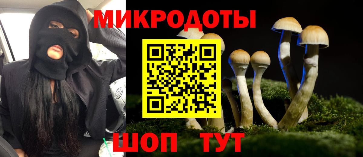 Галлюциногенные грибы прущие грибы Кохма